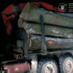 На Жмеринщині затримали вантажівку з нелегальною деревиною