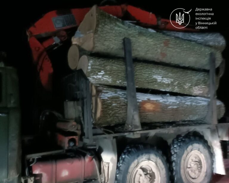 На Жмеринщині затримали вантажівку з нелегальною деревиною