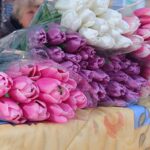 У Вінниці продаватимуть живі квіти до 8 березня: де купити