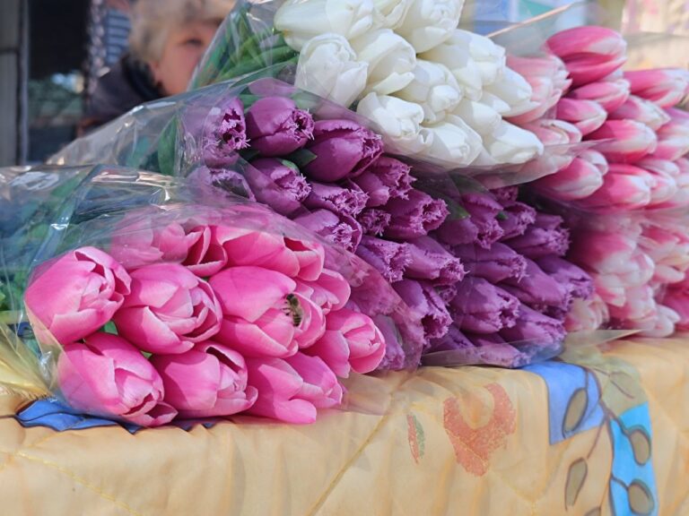 У Вінниці продаватимуть живі квіти до 8 березня: де купити