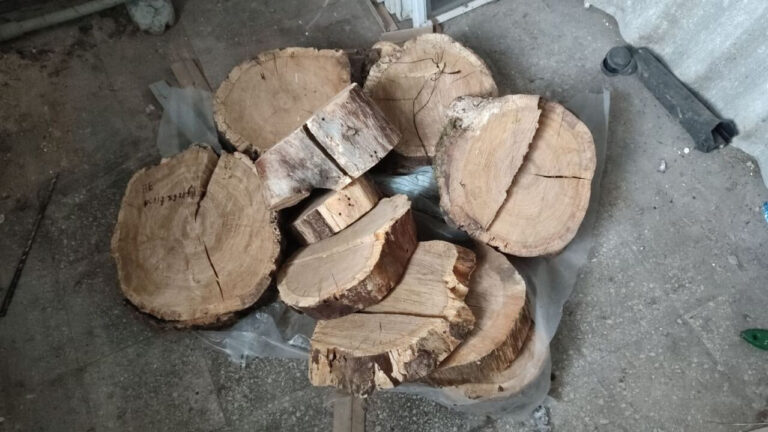 На Миколаївщині у боржника конфіскували розпиляний пень і виставили його на продаж