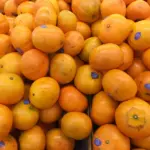 Яка помилка під час миття фруктів та овочів сильно шкодить сантехніці