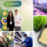 Школяр із Вінниці отримав бронзову нагороду за дослідження мікрозелені