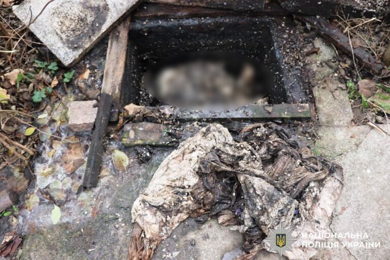 Вбив брата, а тіло сховав у ямі: судитимуть 18-річного жителя Гнівані