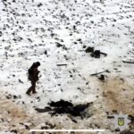 Уламки збитих дронів та ракет виявили на Вінниччині
