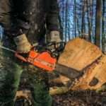 На Вінниччині незаконна вирубка дерев завдала довкіллю збитків на 2 мільйони