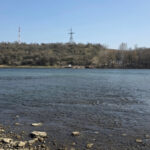 Екологи обстежили Дністер: що приховує вода і чи є загроза для регіону (ФОТО+ВІДЕО)