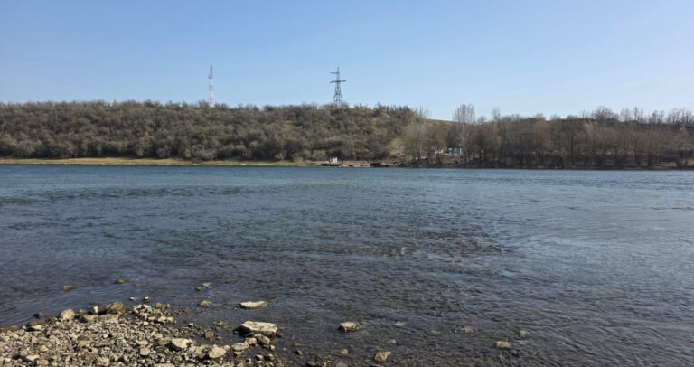 Екологи обстежили Дністер: що приховує вода і чи є загроза для регіону (ФОТО+ВІДЕО)