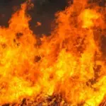 На Вінниччині через людську недбалість вигоріло понад 2 гектари землі
