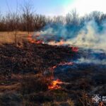 Через людську недбалість на Вінниччині вигоріло понад 6 гектарів землі
