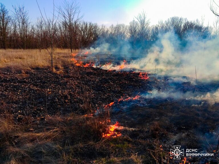 Через людську недбалість на Вінниччині вигоріло понад 6 гектарів землі