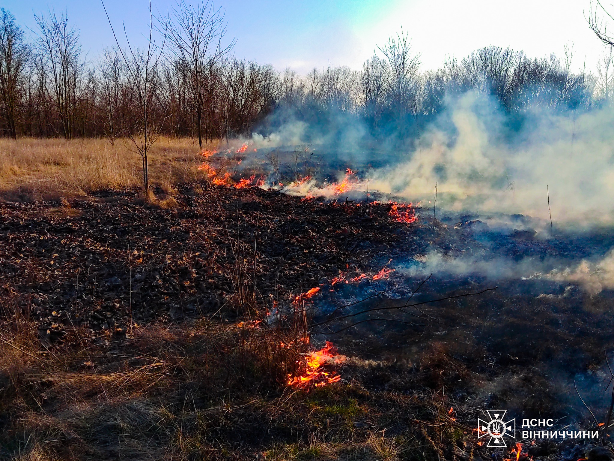 Через людську недбалість на Вінниччині вигоріло понад 6 гектарів землі