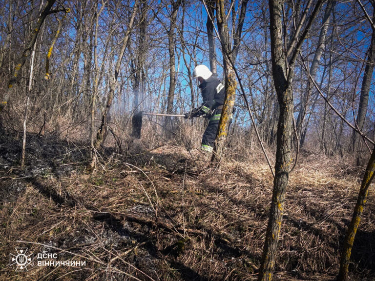 Через людську недбалість на Вінниччині за день вигоріло 12 ділянок сухостою