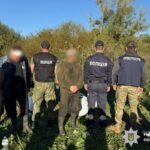 Плантації конопель: п’ятьох фігурантів судитимуть на Вінниччині