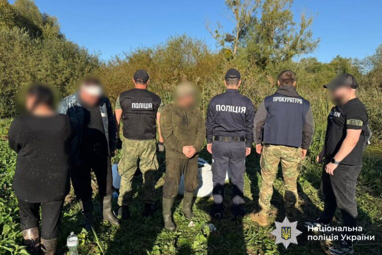 Плантації конопель: п’ятьох фігурантів судитимуть на Вінниччині