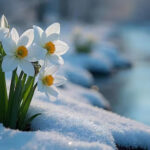 Весна близько: коли температура в Україні підніметься до +16°C
