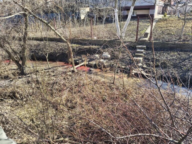 У Вінниці чоловік зливав свинячу кров в річку