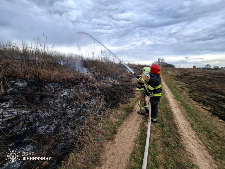 На Вінниччині за добу ліквідували 32 пожежі на відкритих територіях