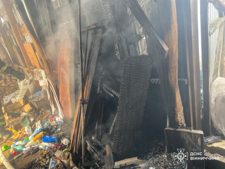 На Вінниччині пожежа знищила сіно та дрова через людську недбалість