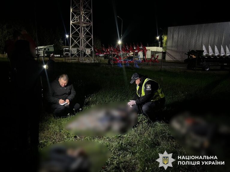 Загибель шести людей поблизу Вінниці: водія засудили до 10 років