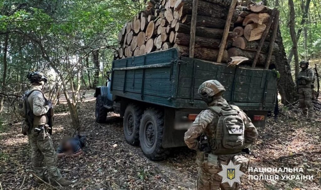 На Вінниччині судитимуть організовану групу лісорубів