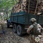 На Вінниччині судитимуть організовану групу лісорубів