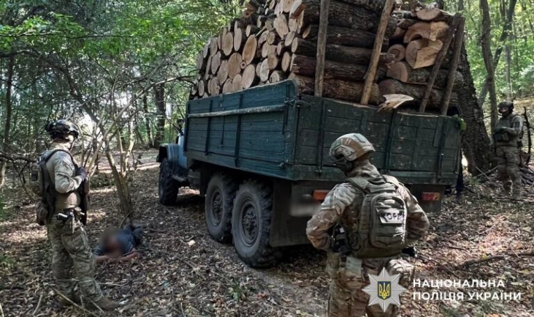На Вінниччині судитимуть організовану групу лісорубів