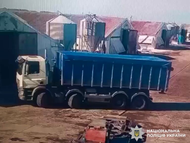 Водій вантажівки збив на смерть жінку на підприємстві Вінниччини