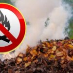 У Вінниці ловлять паліїв листя: за два тижні — 27 порушень