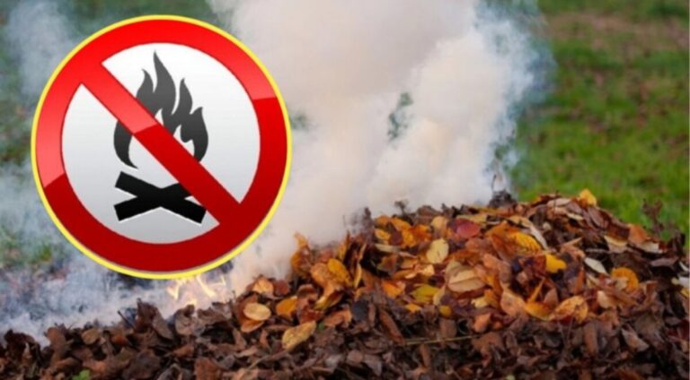 У Вінниці ловлять паліїв листя: за два тижні — 27 порушень