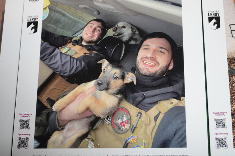 Врятовані з-під води і руїн: у Вінниці відкрили «Евакуацію життя»