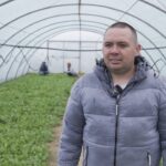 Втратили 2 гектари теплиць через війну: як переселенець відновив агробізнес на Вінниччині