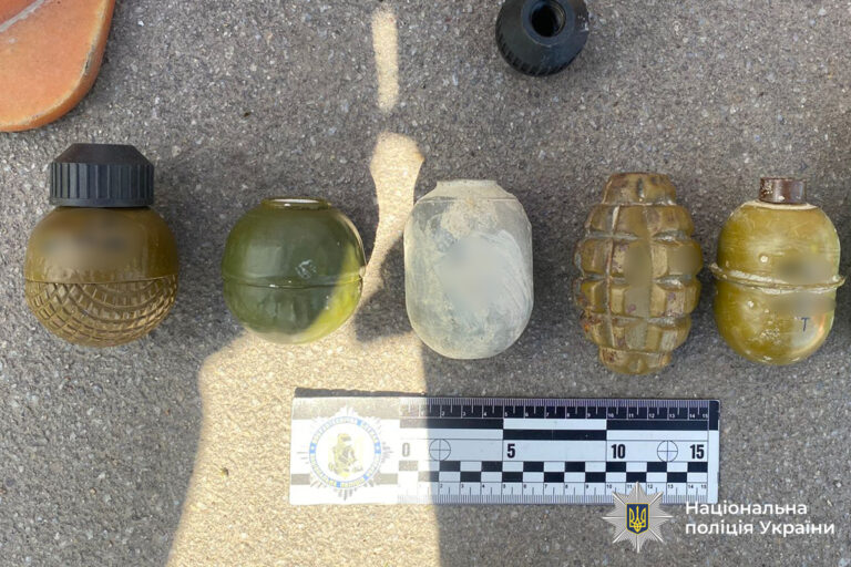 Поліцейські Хмільницького району знайшли у водія шість гранат