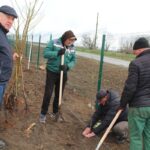 Новий агротренд: на Вінниччині почали вирощувати виноград