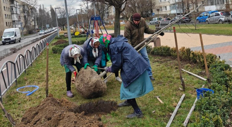 Весняне озеленення стартувало: тюльпанові дерева висадили на проспекті Космонавтів у Вінниці