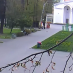 У Вінниці фіксують крадіжки квітів у парках серед білого дня (ВІДЕО)