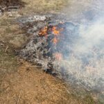 Підпал трави та сміття на Вінниччині: як екологи та поліція борються з порушниками