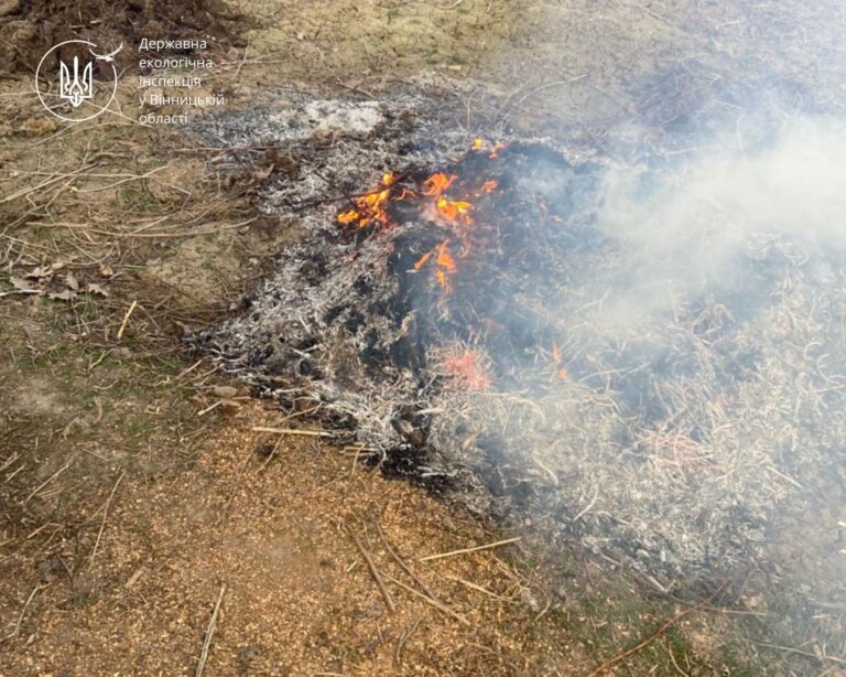 Підпал трави та сміття на Вінниччині: як екологи та поліція борються з порушниками