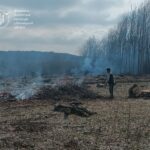 На Вінниччині оштрафували чоловіка за спалювання решток біля лісу