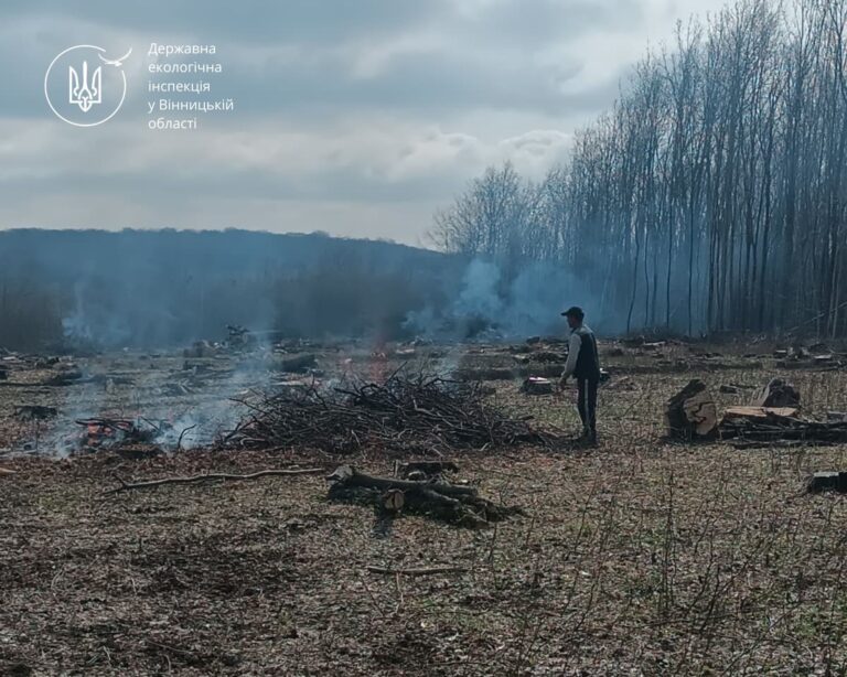 На Вінниччині оштрафували чоловіка за спалювання решток біля лісу