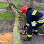 Повалені дерева і перекриті дороги: наслідки негоди на Вінниччині