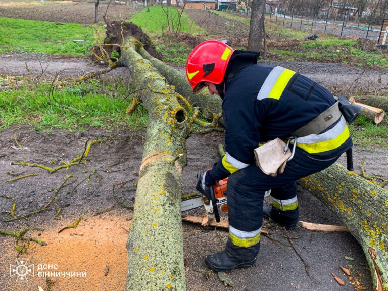 Повалені дерева і перекриті дороги: наслідки негоди на Вінниччині