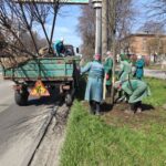 На Хмельницькому шосе у Вінниці висаджують 40 нових дерев