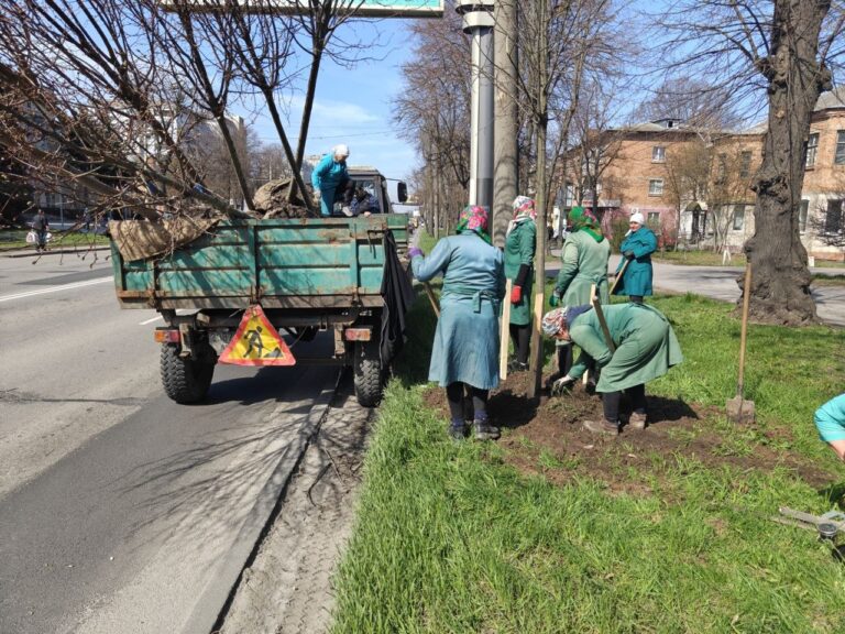 На Хмельницькому шосе у Вінниці висаджують 40 нових дерев