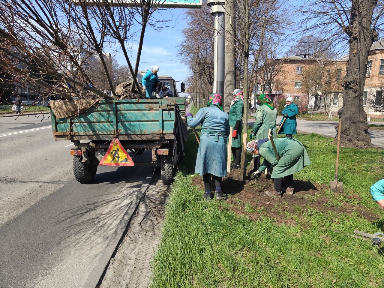 На Хмельницькому шосе у Вінниці висаджують 40 нових дерев