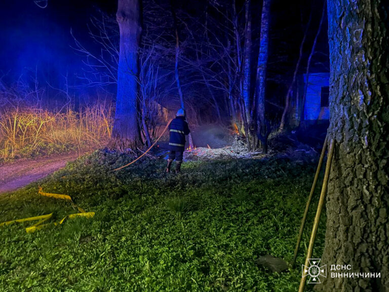 Чотири пожежі за добу: на Вінниччині горіли будинки та суха трава