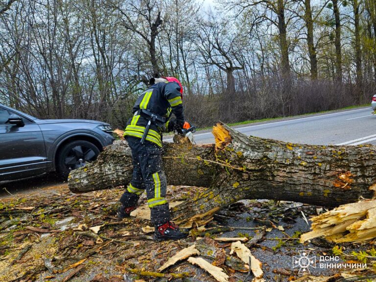 Вітер наробив біди: як Вінниччина пережила негоду