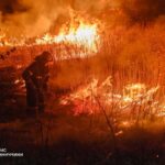 На Вінниччині фіксують масові пожежі на відкритих територіях
