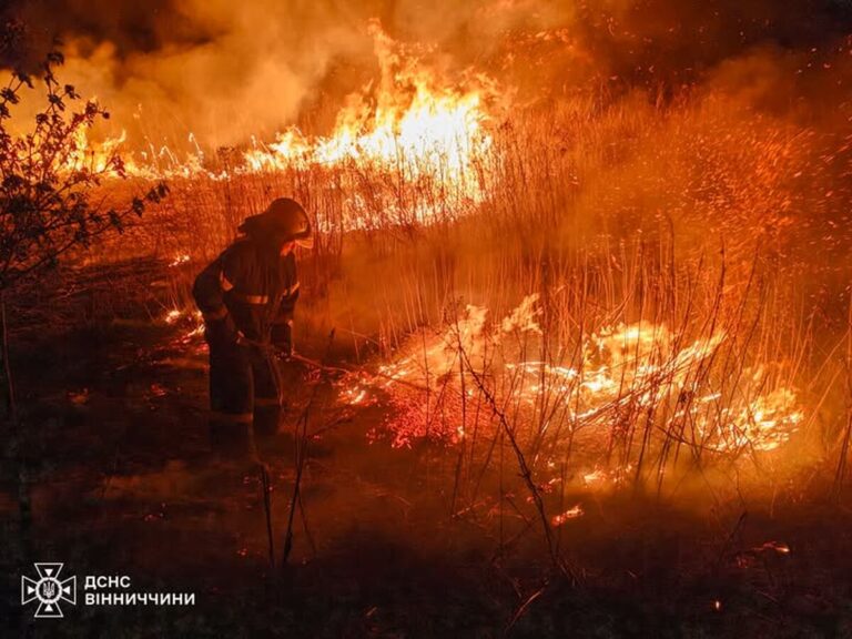 На Вінниччині фіксують масові пожежі на відкритих територіях