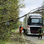 Негода на Вінниччині: дорожники прибирають повалені дерева та допомагають водіям